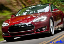Операция по извлечению маленького пушистика из «недр» Tesla Model S прошла успешно