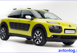 Осторожно!  «Кактусомания» от Citroën